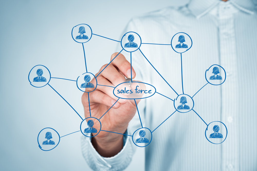 Reseaux formation